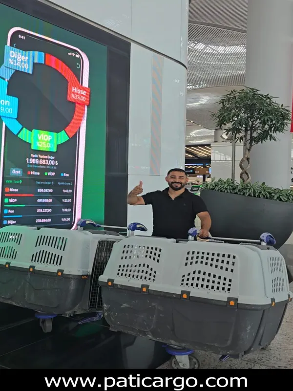 Yurt dışı pet taşıma operasyonu